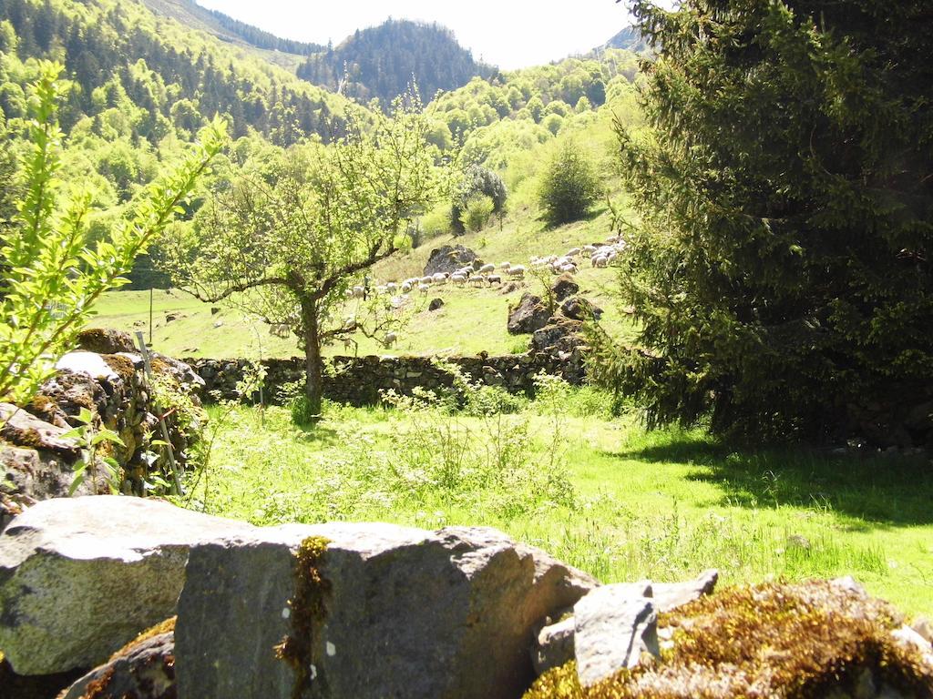 Gite Auberge Les Cascades Ла Монги Екстериор снимка